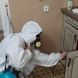 Дезинфекция от муравьев в квартире в Менделеево