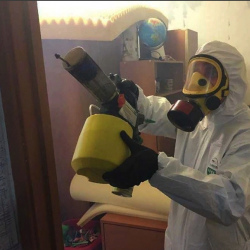 Уничтожение клопов в квартире. Менделеево